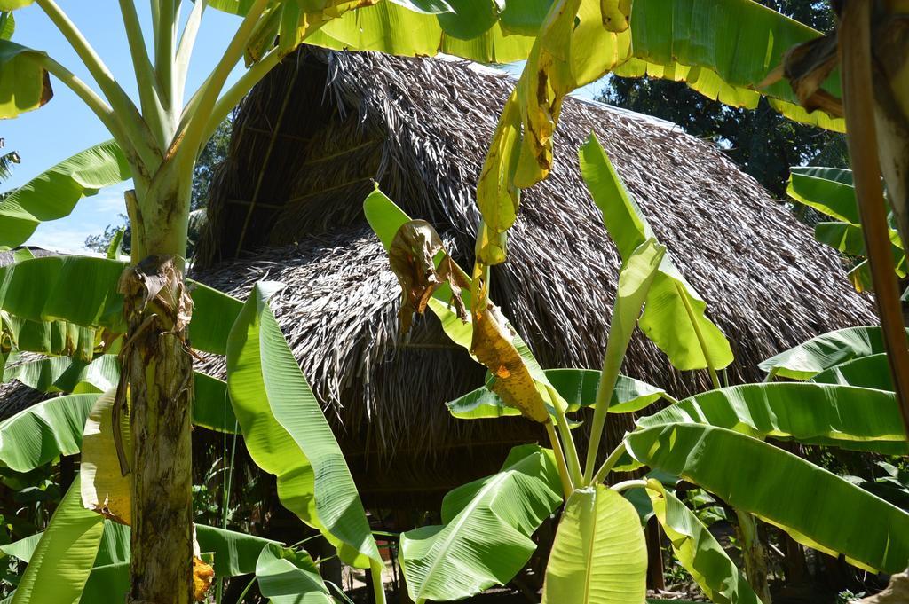 Samon Village Kampot Dış mekan fotoğraf